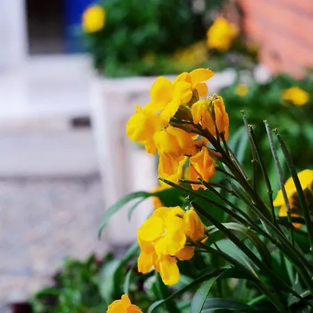 Bed & Breakfast Privee - Confort - Wifi