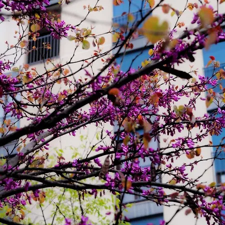 Privee - Confort - Wifi *