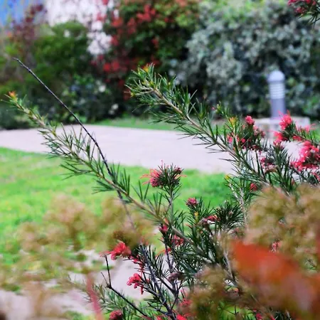 Panzió Privee - Confort - Wifi Toulouse