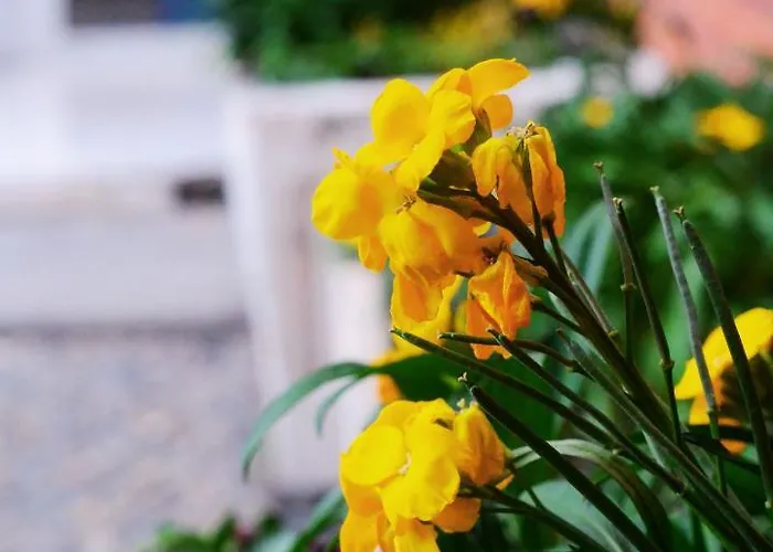 Oda ve Kahvaltı Privee - Confort - Wifi