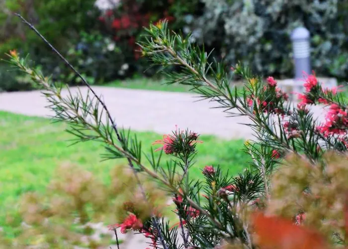 Oda ve Kahvaltı Privee - Confort - Wifi Toulouse